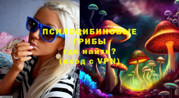 спиды Бугульма