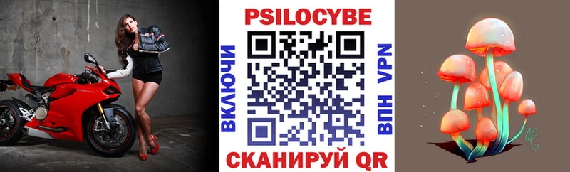 Галлюциногенные грибы MAGIC MUSHROOMS  где найти наркотики  Будённовск 