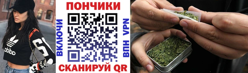 mega   Будённовск  Марихуана Amnesia 